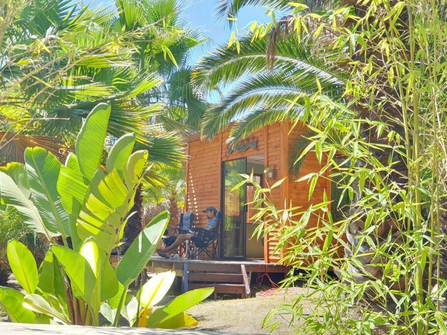 The Farmhouse B&B Stellenbosch Buitenkant foto